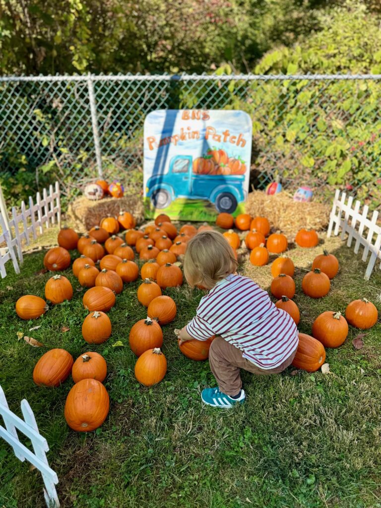 Fall Festival photo 1
