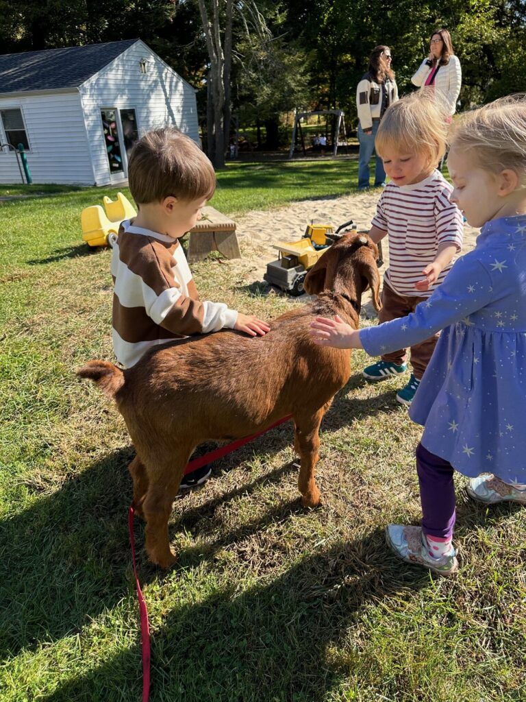 Fall Festival photo 4