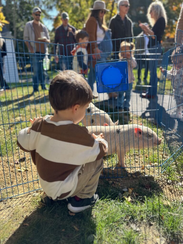 Fall Festival photo 6